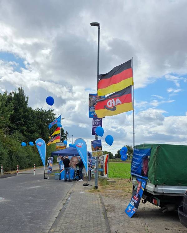 Bild_105