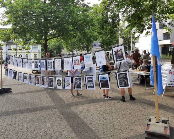 Bild_6