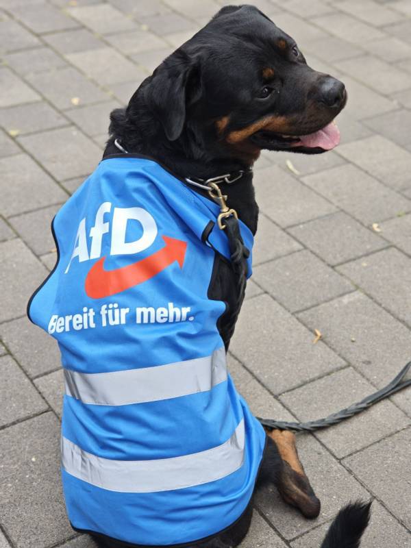 Bild_74